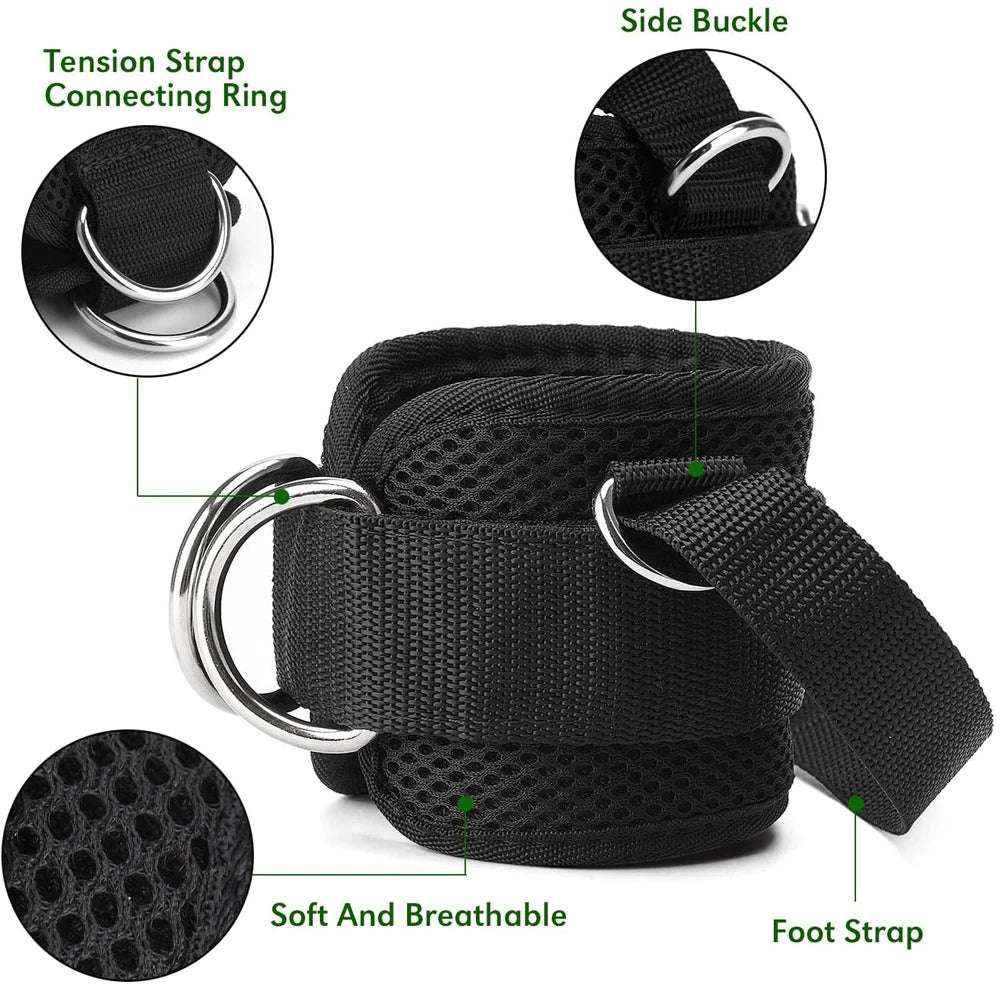 Black dog leash with features highlighted on a white background